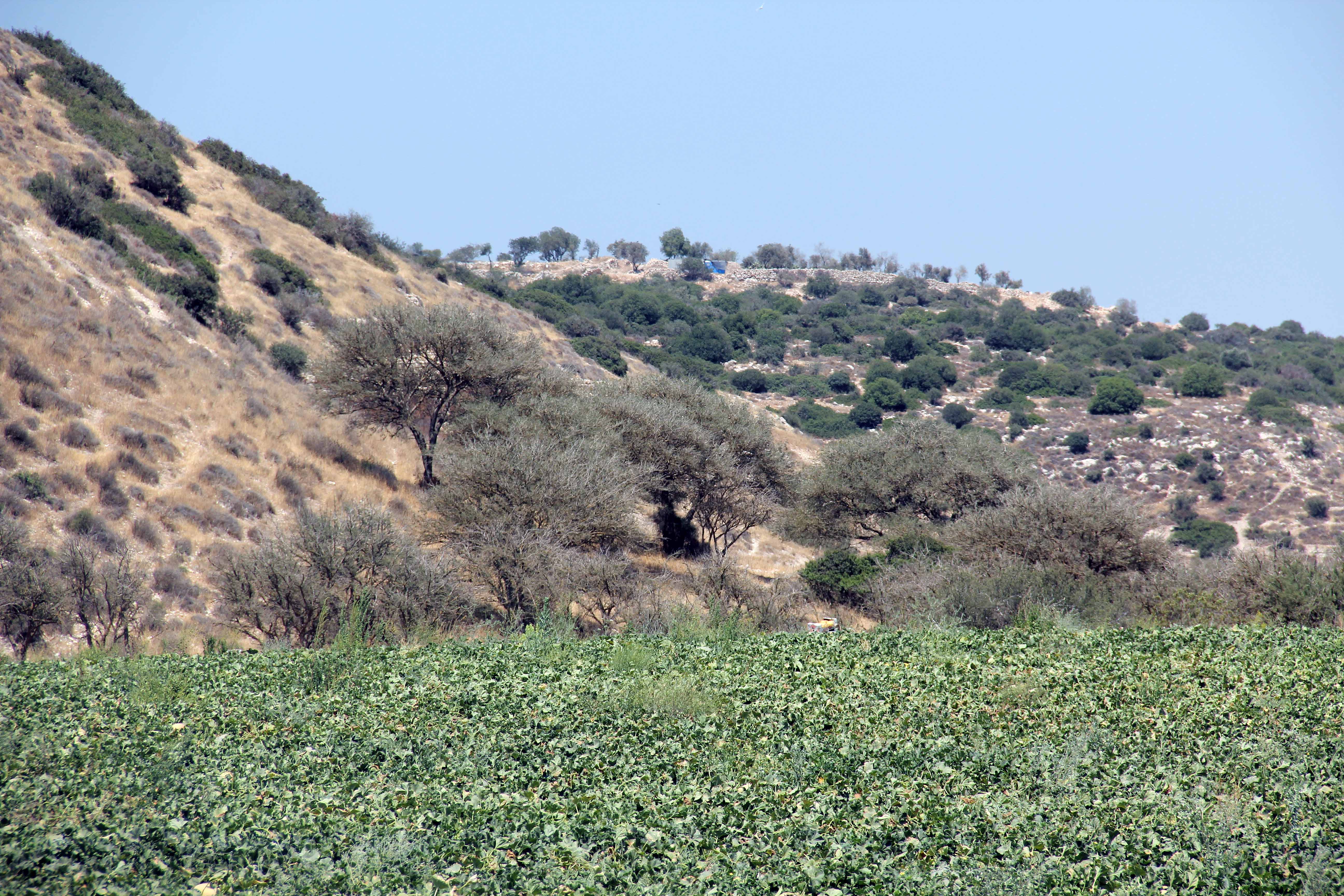 David and Goliath image 5